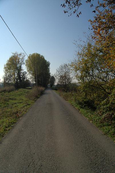 Strada comunale detta Pandina
