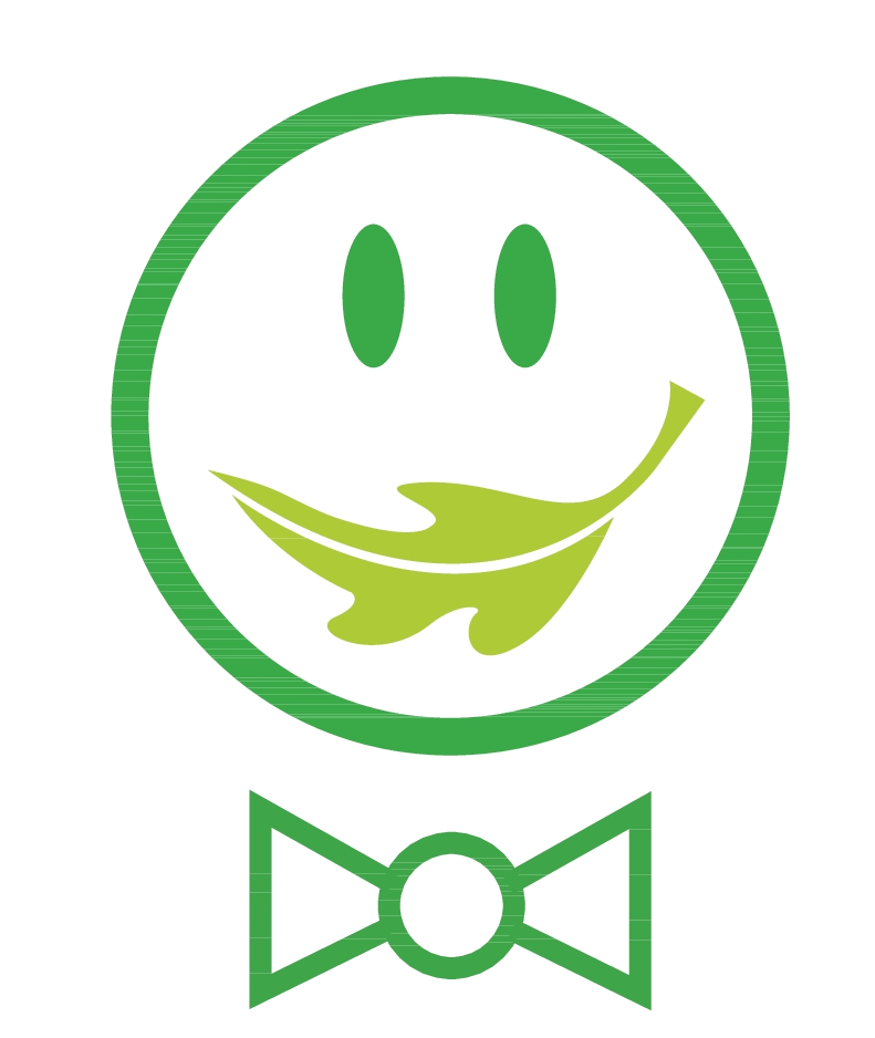 Faccina verde simbolo della nuova raccolta